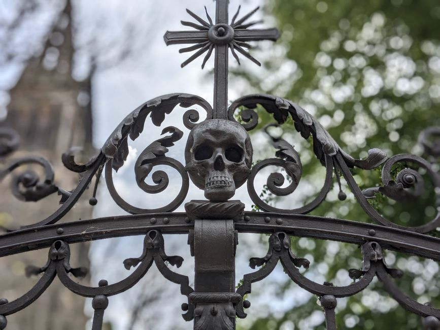 Decorative iron gate with scrollwork set between two posts
