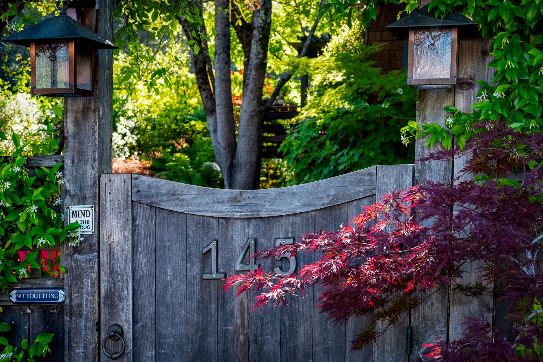 A serene scene with a wooden gate surrounded by vibrant foliage and decorative lanterns in Austin, TX